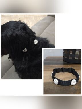NEW! Luxury Rhinestone Camelia Flower Collar